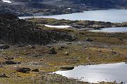 170-Sognefjell,23 agosto 2011